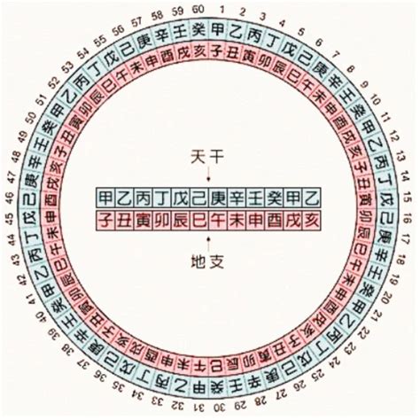 癸己|天干属性 干支纪年对照表